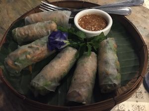 raw spring rolls at Indigo Cafe in Luang Prabang