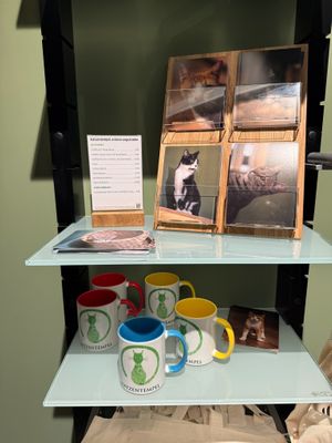 display at Katzentempel Hamburg Hafencity in Hamburg