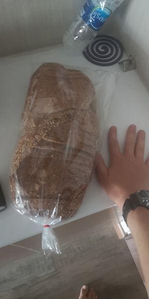 Huge seaded loaf. Very soft and delicious with vegan butter and vegemite at Chiang Mai Bread in Chiang Mai