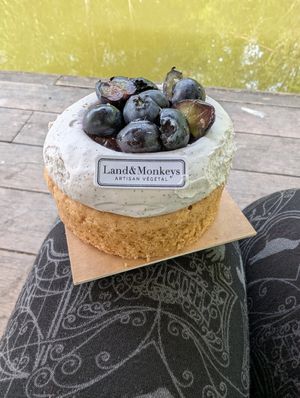  at Land & Monkeys - Beaubourg in Paris