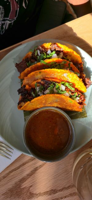 Birria Tacos at Jajaja Mexicana in Miami