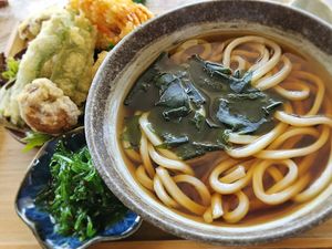 Tempura udon at Hokkaiya Japanese Restaurant in Hamilton