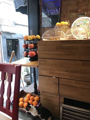Vegan Community Kitchen  at Vegan Community Kitchen in Istanbul