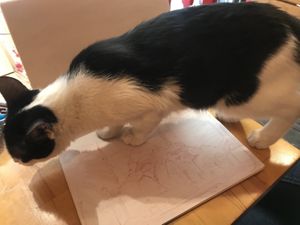 A meal, plus an art critique? Yes please!  at Vegan Community Kitchen in Istanbul