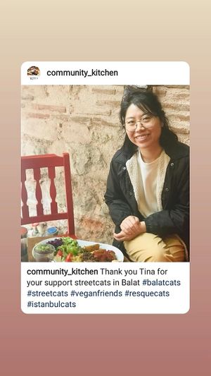  at Vegan Community Kitchen in Istanbul