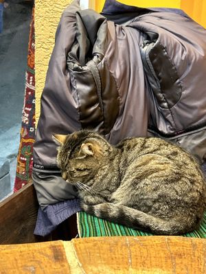 My table companionn #Veganuary at Vegan Community Kitchen in Istanbul