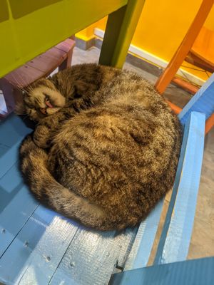  at Vegan Community Kitchen in Istanbul