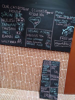 Menu and meals we had at Vegan Community Kitchen in Istanbul