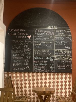 Menu and list of rescue animals names ❤️  at Vegan Community Kitchen in Istanbul