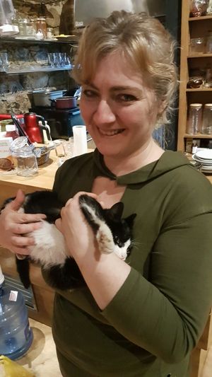 very friendly owner and cuddle cat at Vegan Community Kitchen in Istanbul