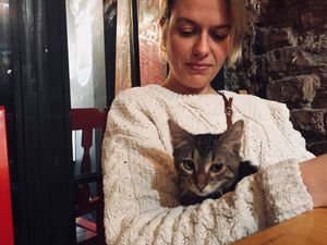 Go vegan! at Vegan Community Kitchen in Istanbul