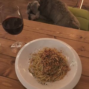 House pasta dish/house red/house puppy :) at Cafe VG in Naha