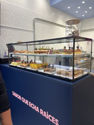   at Plant Bites in Bilbao