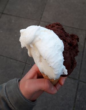 Schokoladeneis mit Zitroneneis in veganer Waffel 😍 at Cafe Kaiserbau in Stuttgart