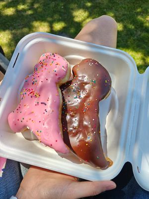   at Go Nuts On Donuts in Christchurch