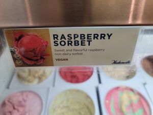 Vegan sorbet at South Bend Chocolate Co in Indianapolis