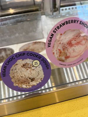 Vegan Selections  at Van Leeuwen Ice Cream in Delray Beach