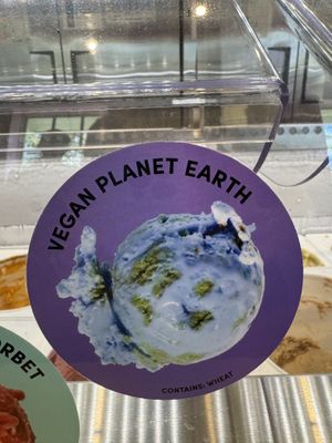   at Van Leeuwen Ice Cream in Delray Beach