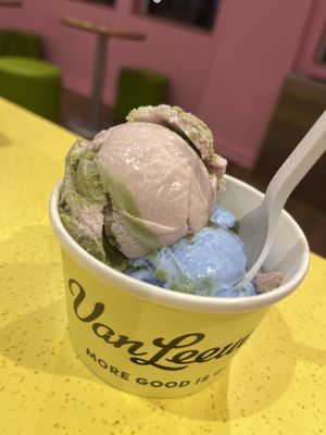   at Van Leeuwen Ice Cream in Delray Beach