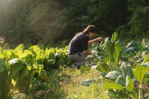  at Articolto | Gastronomia vegetale in Asti