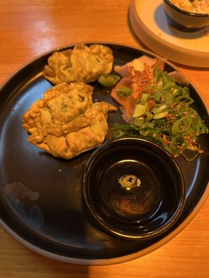 Vegan gyoza  at Foodbar 39 in Den Burg