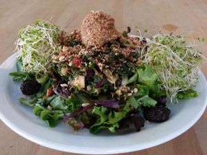 Gorilla salad (small) at Gorilla Foods - Powell St in Vancouver