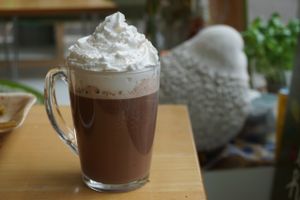 Delicious hot chocolate with vegan whipped cream. at Vegabond - Leliegracht in Amsterdam