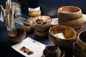Plant-ahead coconut bowls and bamboo straws at Vegabond - Leliegracht in Amsterdam