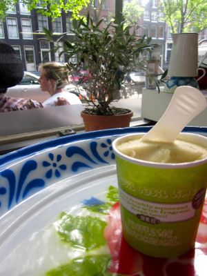 Vegan lime & basil ice gelato at Vegabond - Leliegracht in Amsterdam