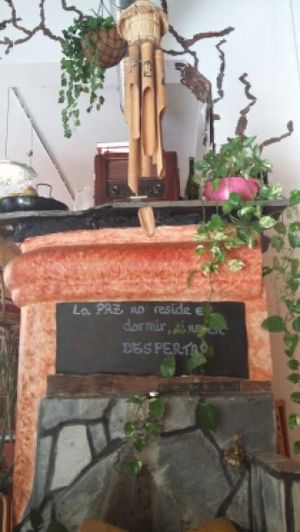 Peace at Tiyoweh La Quietud in Madrid