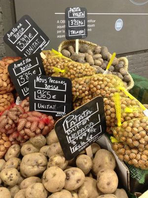 Healthy nuts at OBBIO! A wide variety of nuts all organic , bulk or packed. at OBBIO Food in Barcelona