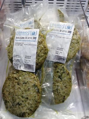 Home made Vegeterian and organic burghers at Obbio.  at OBBIO Food in Barcelona