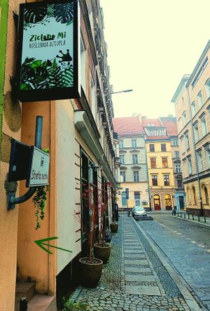  at Zielono Mi in Wroclaw