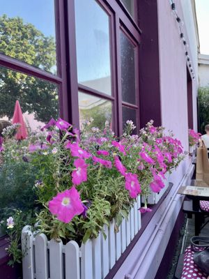   at Die FETTE BEETE in Krefeld