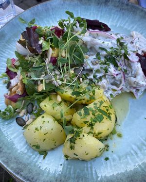 Summer special - like herring  at Die FETTE BEETE in Krefeld