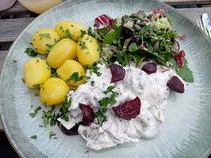  at Die FETTE BEETE in Krefeld