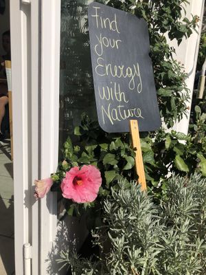 Lovely flowers and decor at Casa e Bottega Positano in Positano