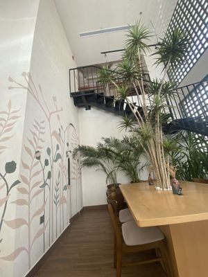   at Nabati in Jeddah