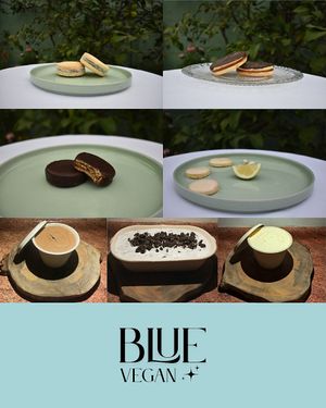 Catálogo principal 💚 at Bluevegan.x in Puente Alto