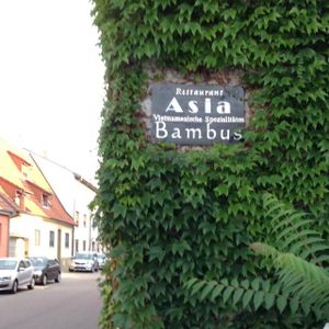 Outside at Asia Bambus in Walldorf