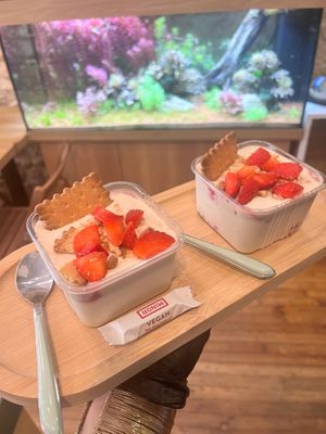  at La Kanopée in Perigueux