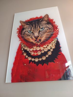Decor at Whiskers & Cream Cat Cafe London in London