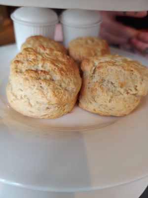 Scones at Whiskers & Cream Cat Cafe London in London