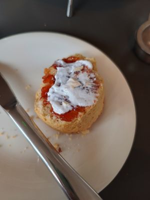 Scone at Whiskers & Cream Cat Cafe London in London