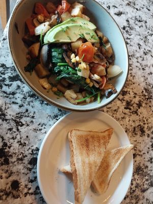 green skillet at Harvest Kitchen + Bar in Springfield