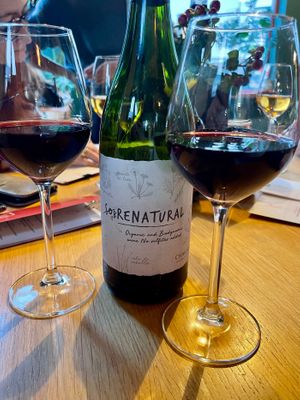 Alle wijnen zijn natuurwijnen en vegan!
Chakana Sobrenaturel 2021 - Argentinië
Glas € 7 | Fles € 27
(Menu januari 2026) at YUSU in Ghent