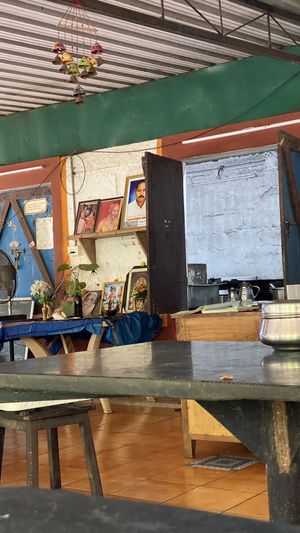 Kitchen window  at Sustenance Farm & Akshaya Farm Kitchen in Tamil Nadu