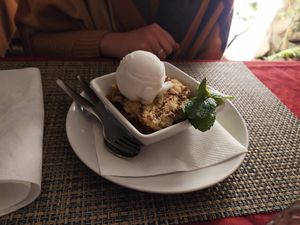 Crumble de Maçã e Ameixa com gelado de limão vegan at Jardim dos Sentidos in Lisbon