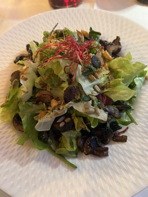 Gemischter Salat mit Pilzen   at Stella in Freiburg