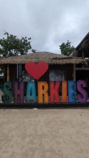 Great vibes! at Sharkies Seafood Restaurant in St Anns Bay